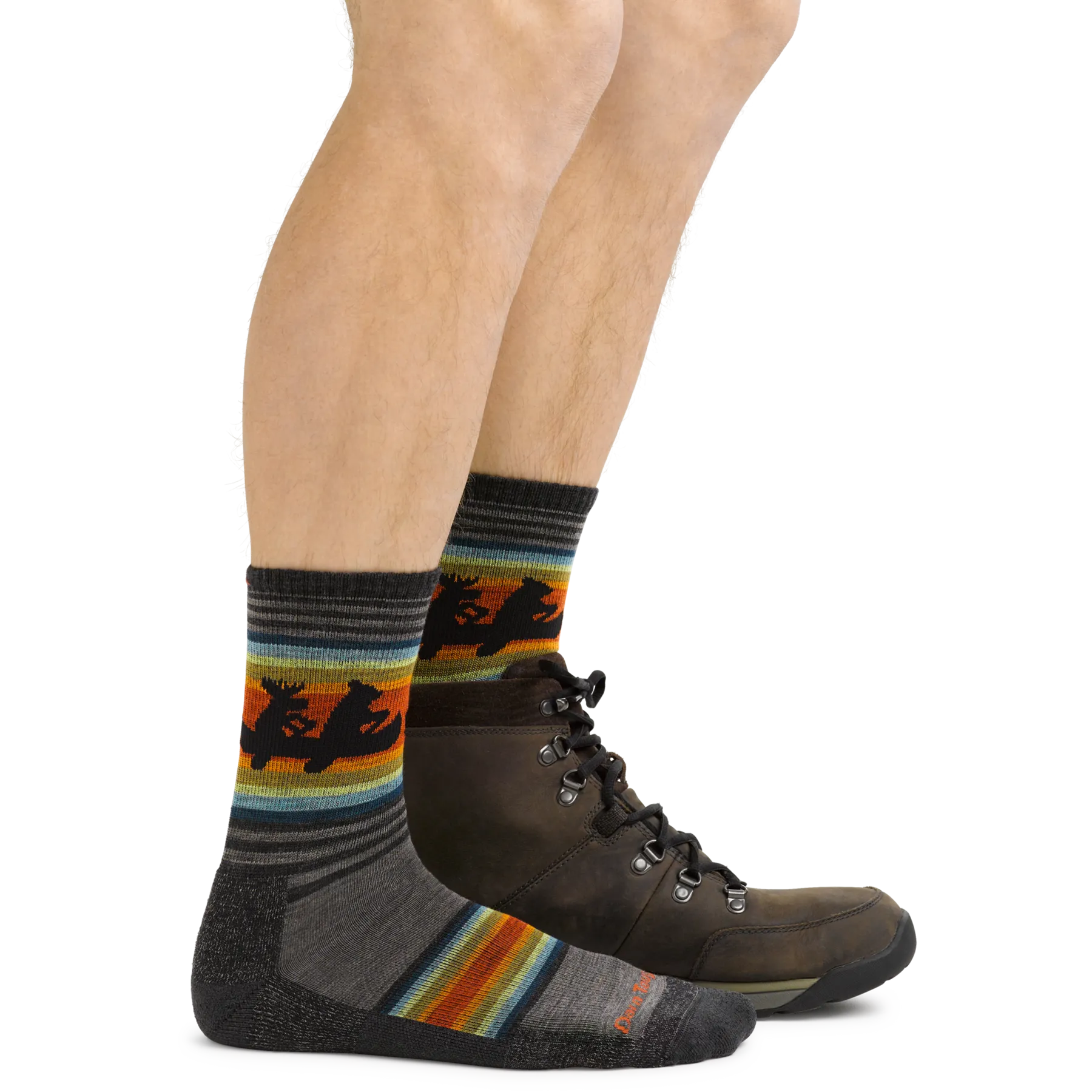 Darn Tough 5003 Willoughby Micro Crew Lightweight with Cushion - Men's