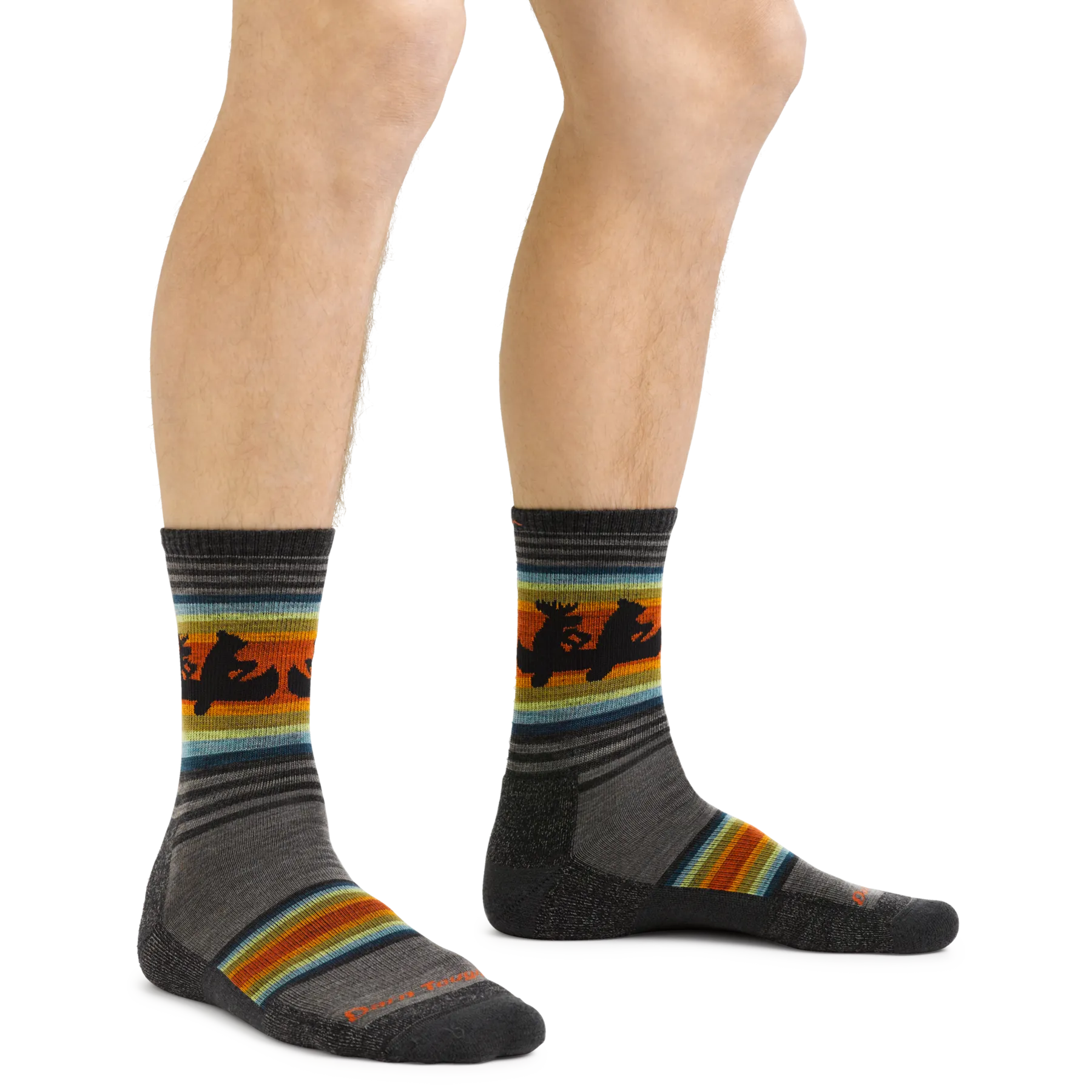 Darn Tough 5003 Willoughby Micro Crew Lightweight with Cushion - Men's